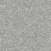 Ash Gray