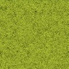 Avacardo Green