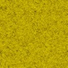 Bumblebee Yellow