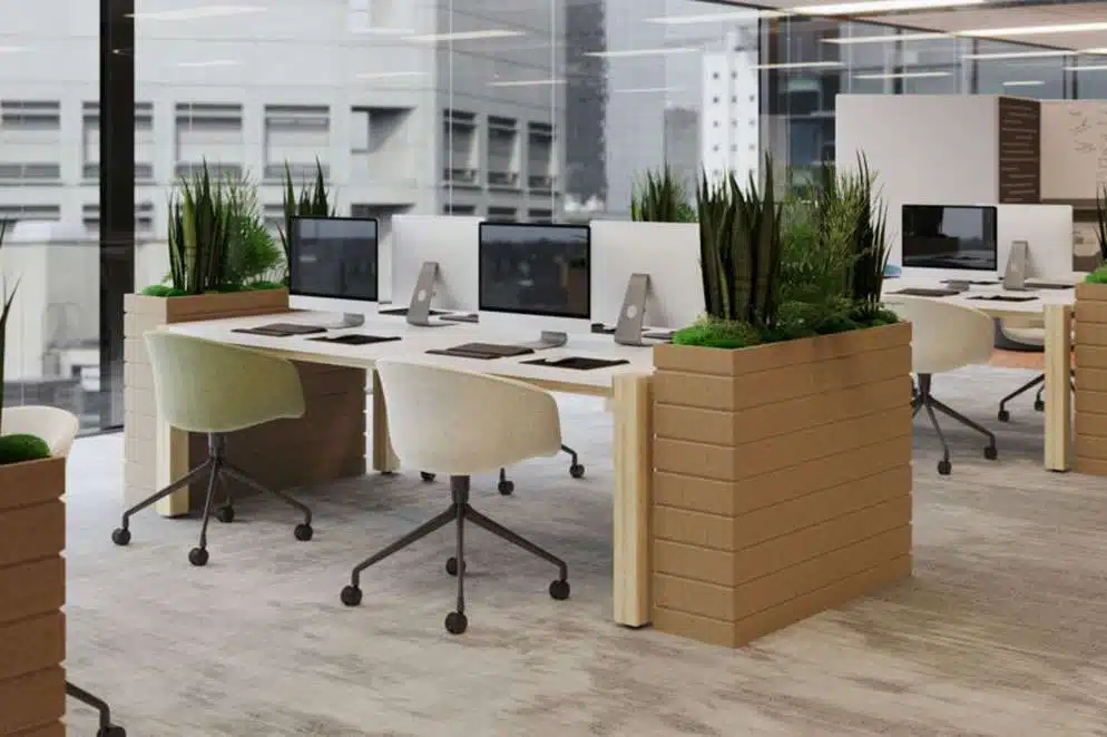 Managing Workplace Disruption